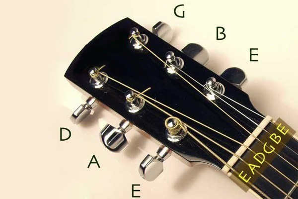 انواع کوک های گیتار