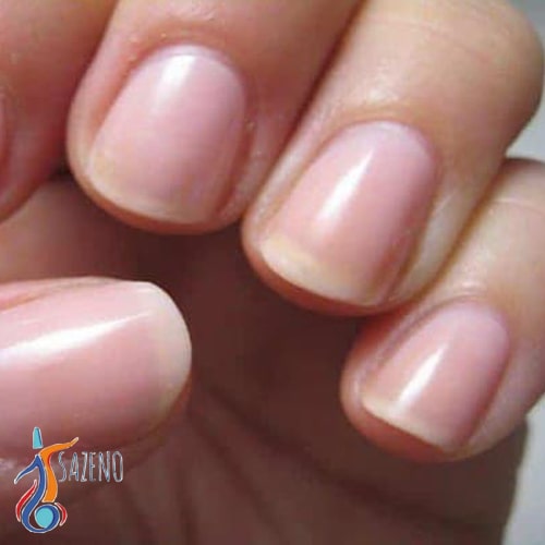 اندازه و فرم ناخن های نوازنده گیتار 1 اندازه و فرم ناخن های نوازنده گیتار